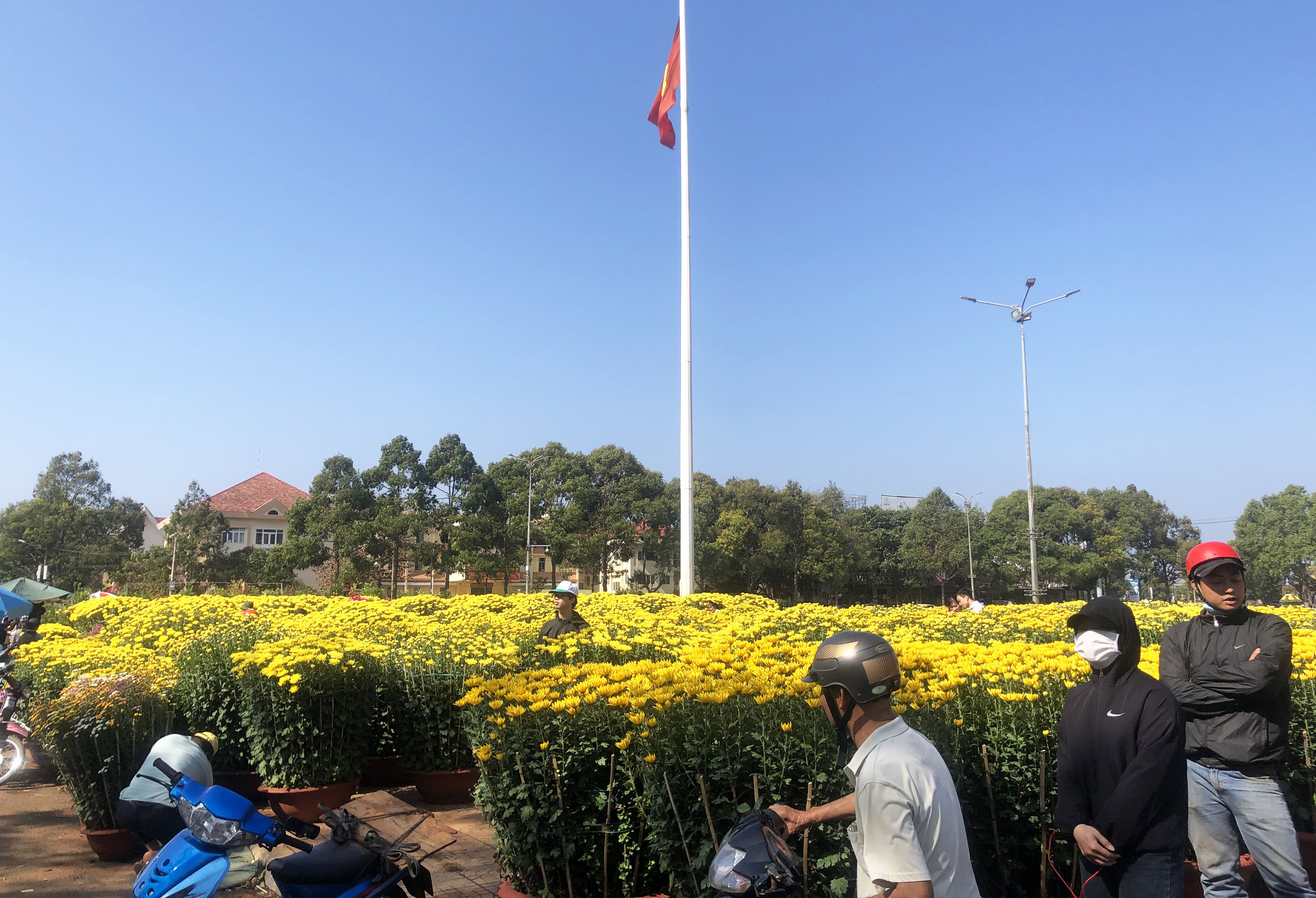 Rực rỡ chợ hoa Xuân Buôn Ma Thuột 